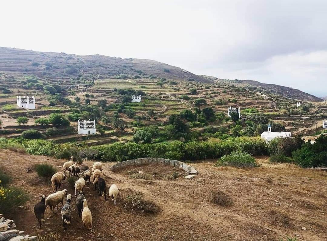 Irene - Tarambados - Tinos Kámbos Exterior photo